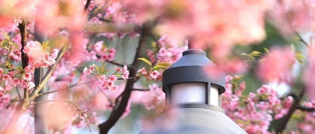 致敬了不起的她 | 眼中有光，心中有夢(mèng)，世界因您而更美